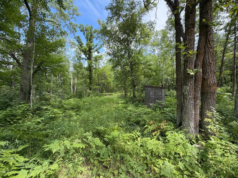 TBD County 95, Laporte, MN 56461