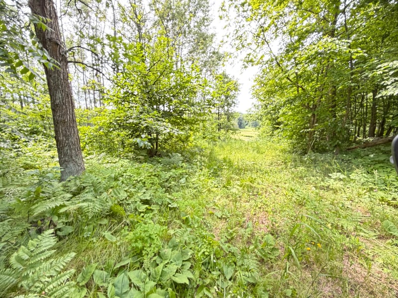 TBD County 95, Laporte, MN 56461