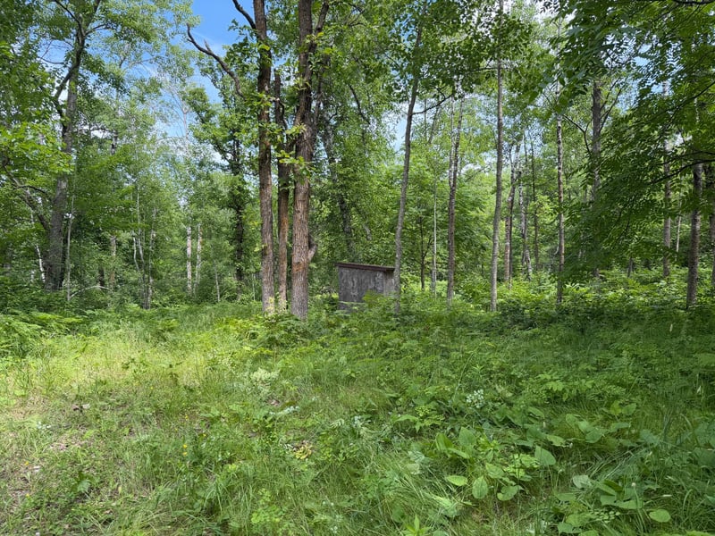 TBD County 95, Laporte, MN 56461