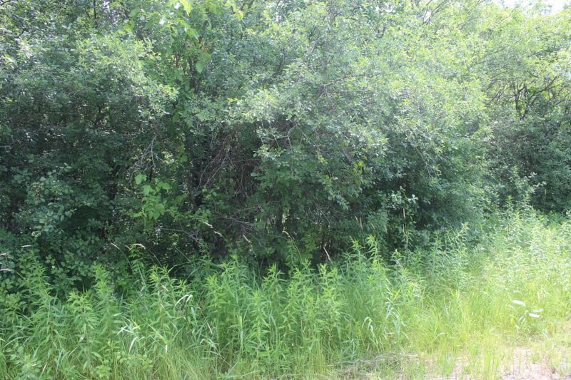 14xxx Green Meadow Rd, Milaca, MN 56353