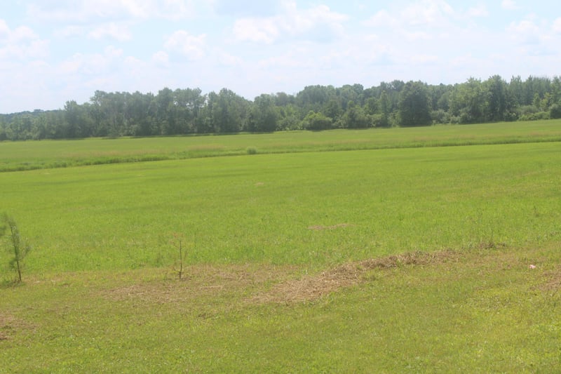 14xxx Green Meadow Rd, Milaca, MN 56353
