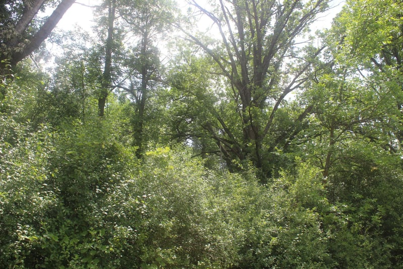 14xxx Green Meadow Rd, Milaca, MN 56353