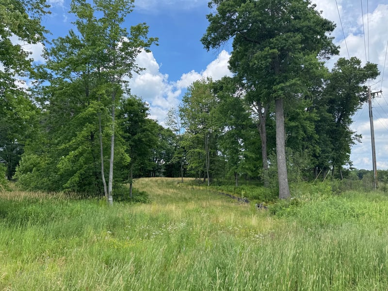 355 176th Ln NE, Ham Lake, MN 55304