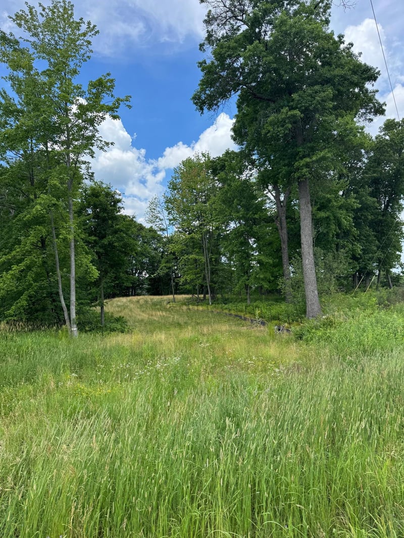 355 176th Ln NE, Ham Lake, MN 55304
