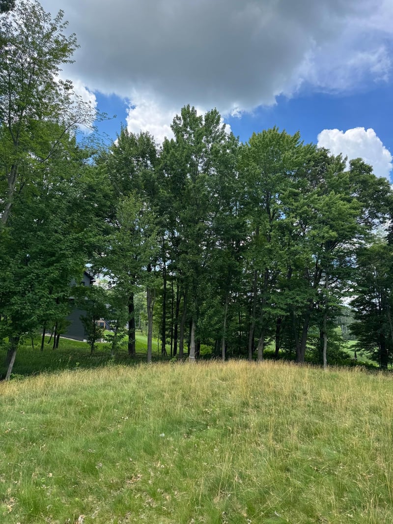 355 176th Ln NE, Ham Lake, MN 55304