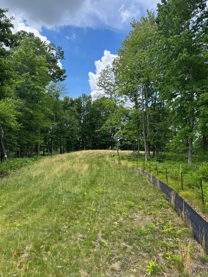 355 176th Ln NE, Ham Lake, MN 55304