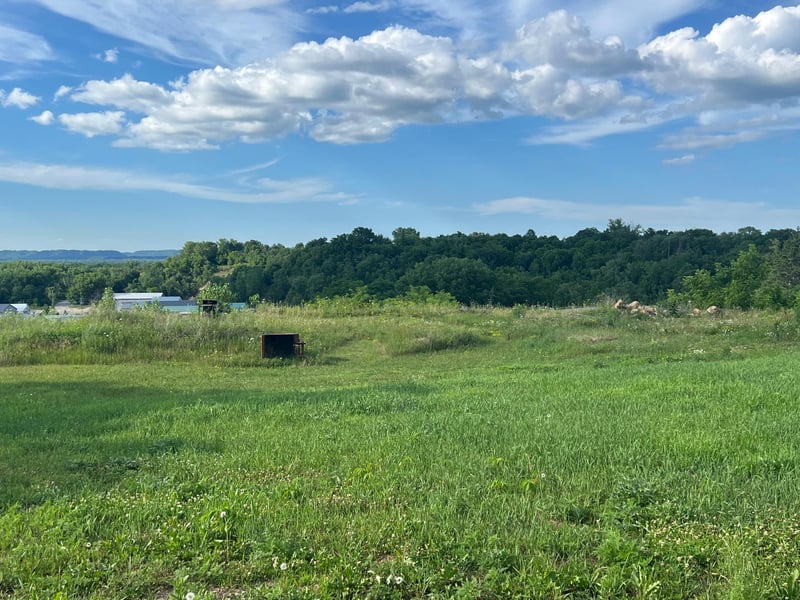 1330 Hillside Dr, Red Wing, MN 55066