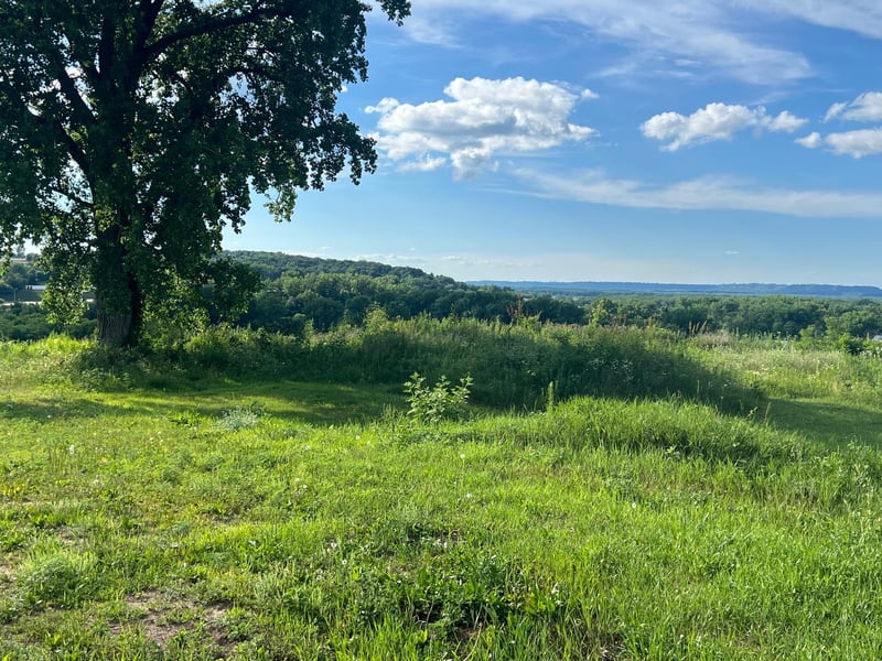 1330 Hillside Dr, Red Wing, MN 55066