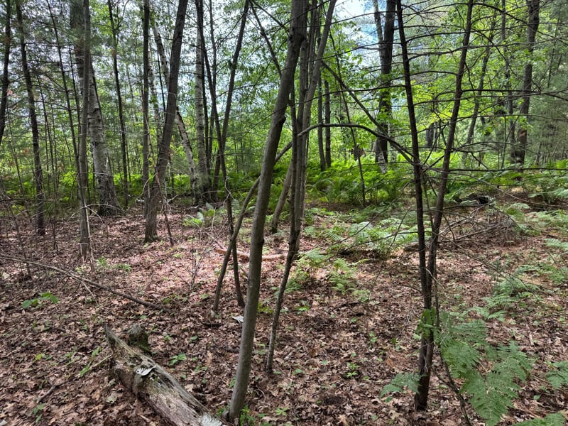 TDB Garden Dr, Siren, WI 54872