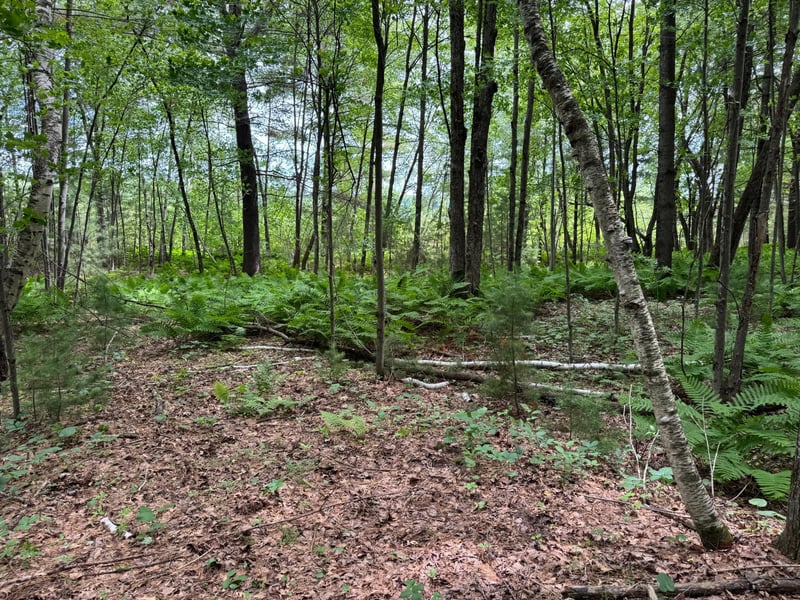TDB Garden Dr, Siren, WI 54872