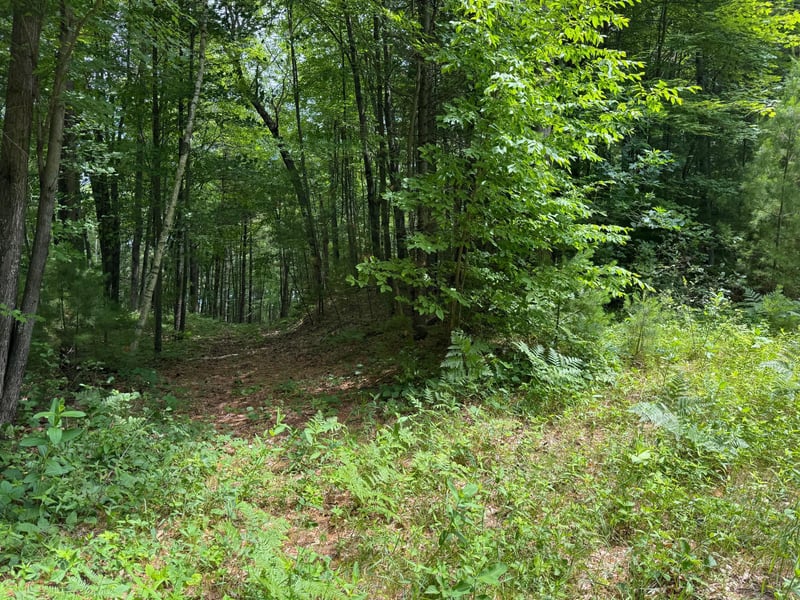 TDB Garden Dr, Siren, WI 54872
