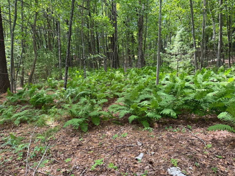 TDB Garden Dr, Siren, WI 54872
