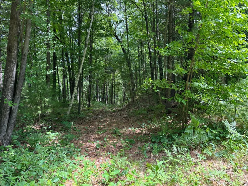 TDB Garden Dr, Siren, WI 54872