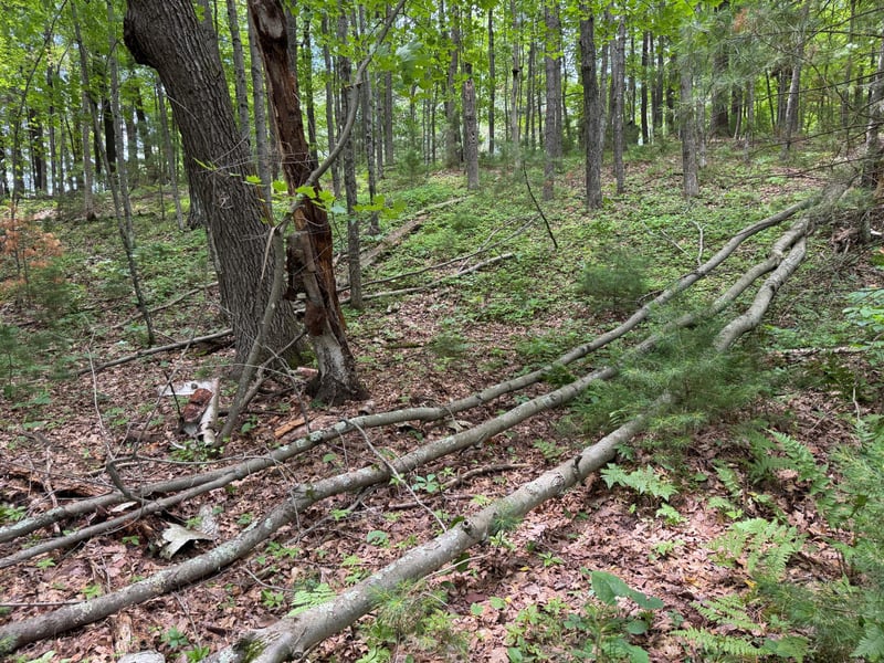TBD Garden Dr, Siren, WI 54872