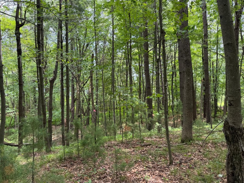 TBD Garden Dr, Siren, WI 54872