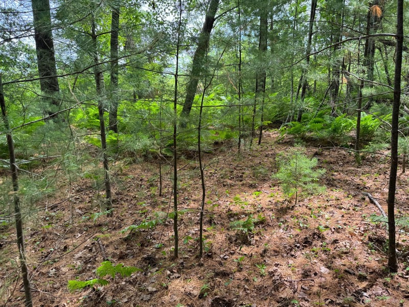 TBD Garden Dr, Siren, WI 54872