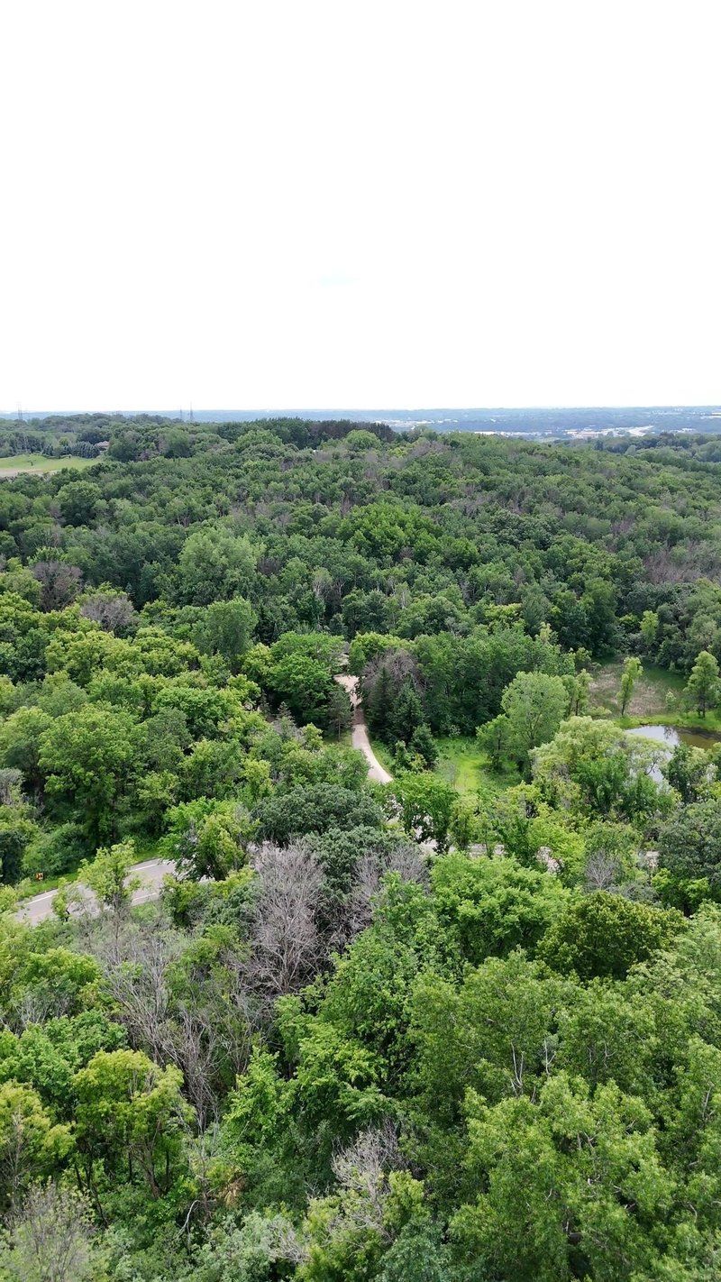 2685 Carver Ave E, Maplewood, MN 55119
