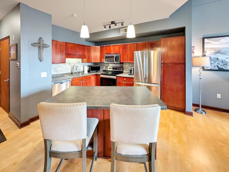 308 E 18th St #305, Minneapolis, MN 55404