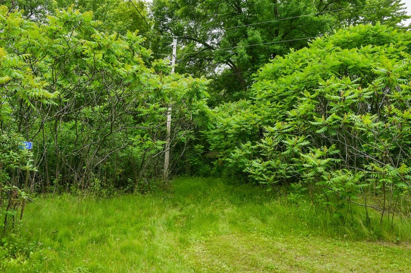 19231 Highwood Shores Rd, Pine City, MN 55063