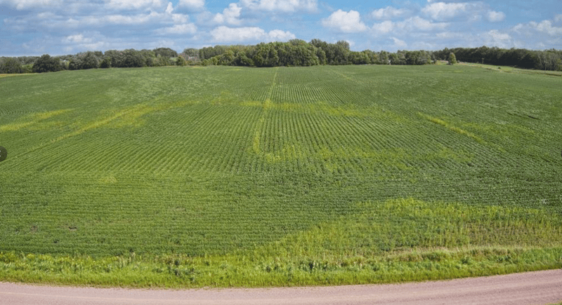 8108 55th Ave, Princeton, MN 55371
