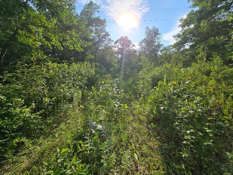 TBD State 84 NE, Longville, MN 56655