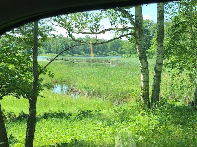 TBD State 84 NE, Longville, MN 56655