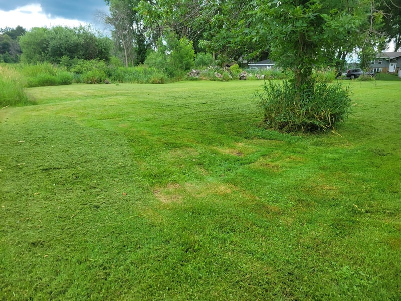 TBD Jason Ave, Forest Lake, MN 55025