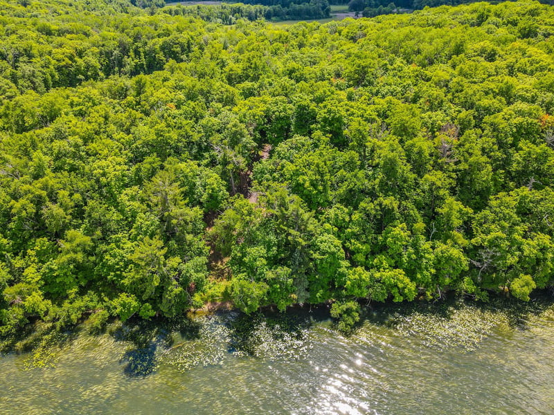 44698 Idas Rd, Osage, MN 56570