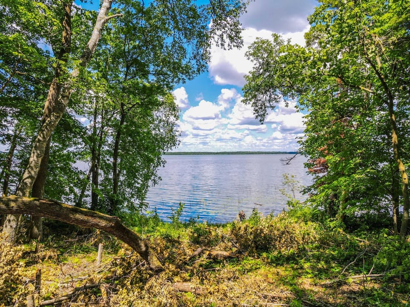 44698 Idas Rd, Osage, MN 56570