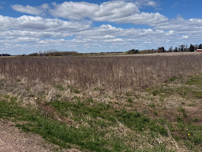 8376 75th St, Princeton, MN 55371