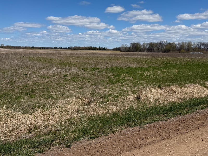 8376 75th St, Princeton, MN 55371