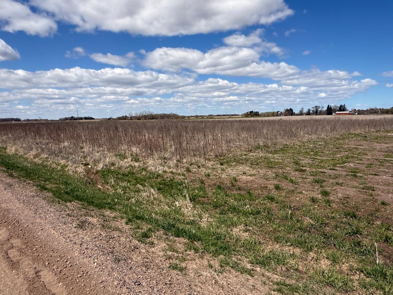 8376 75th St, Princeton, MN 55371