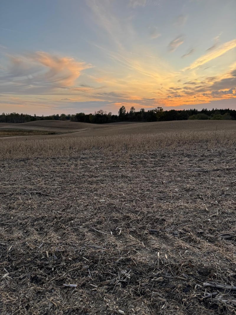 TBD Placid Dr, Dent, MN 56528