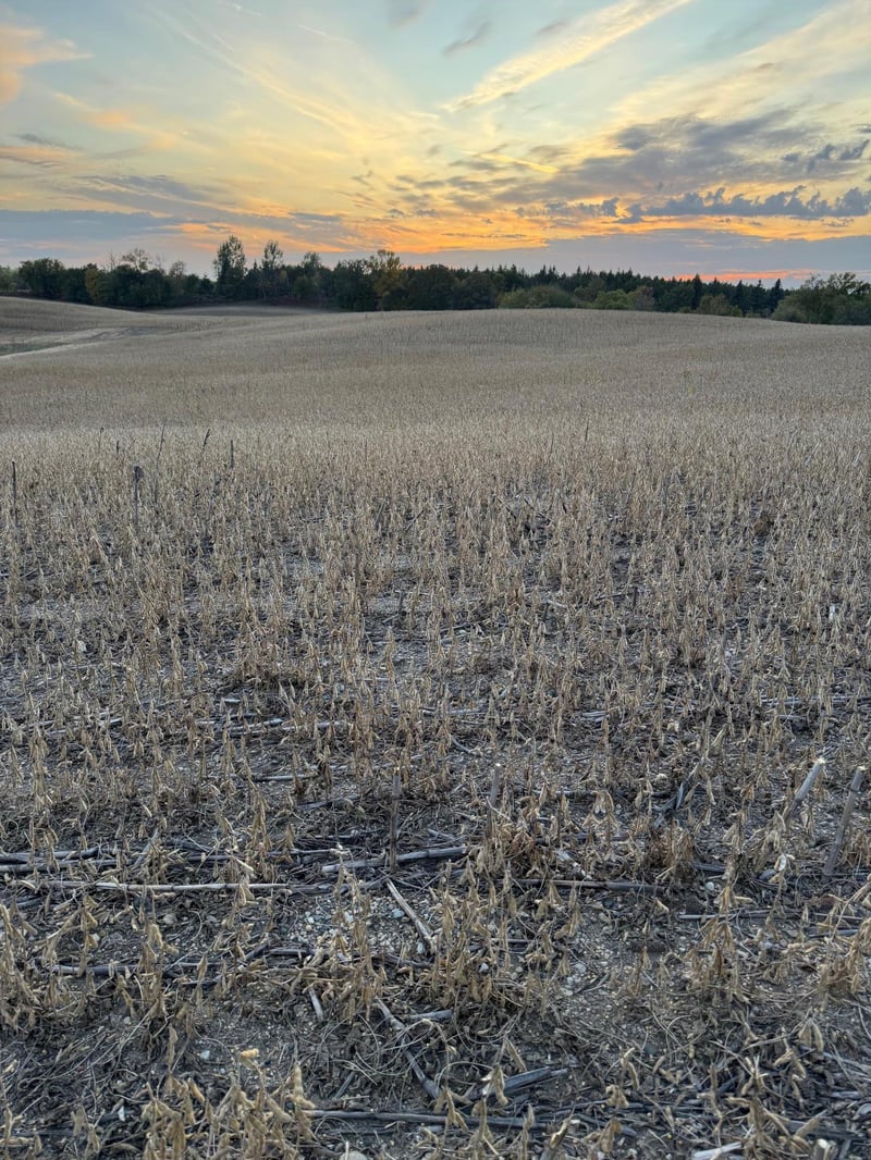 TBD Placid Dr, Dent, MN 56528