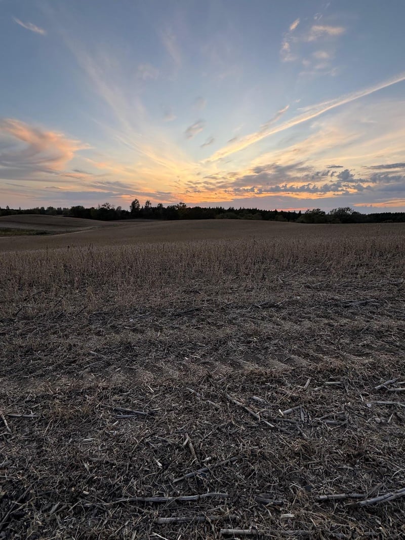 TBD Placid Dr, Dent, MN 56528