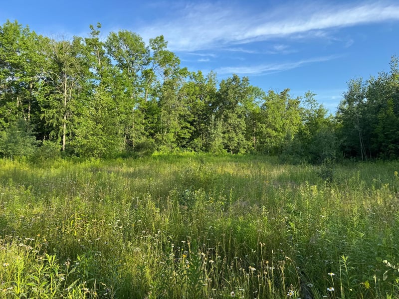 TBD-1 N Riverside Rd, Moose Lake, MN 55767