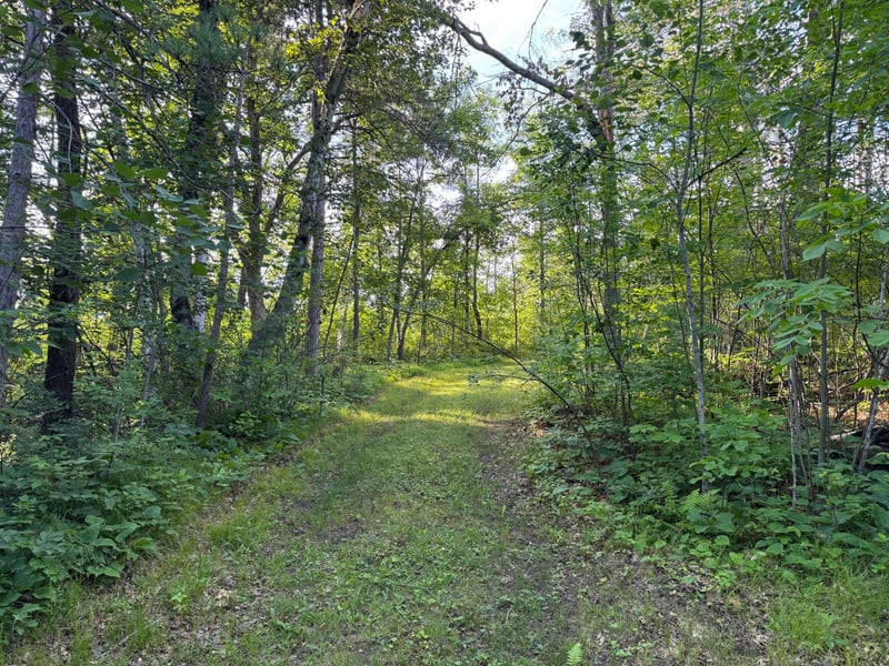 TBD-1 N Riverside Rd, Moose Lake, MN 55767