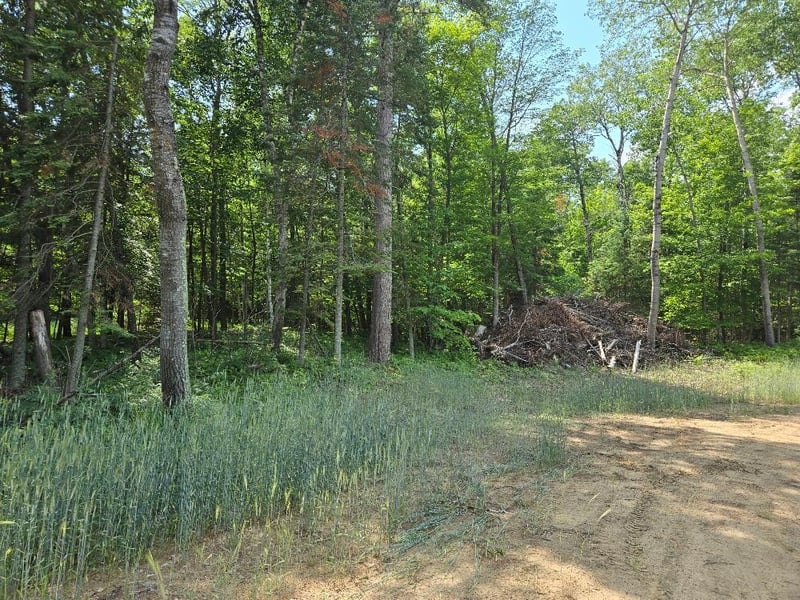 TBD County 54 NE, Longville, MN 56655