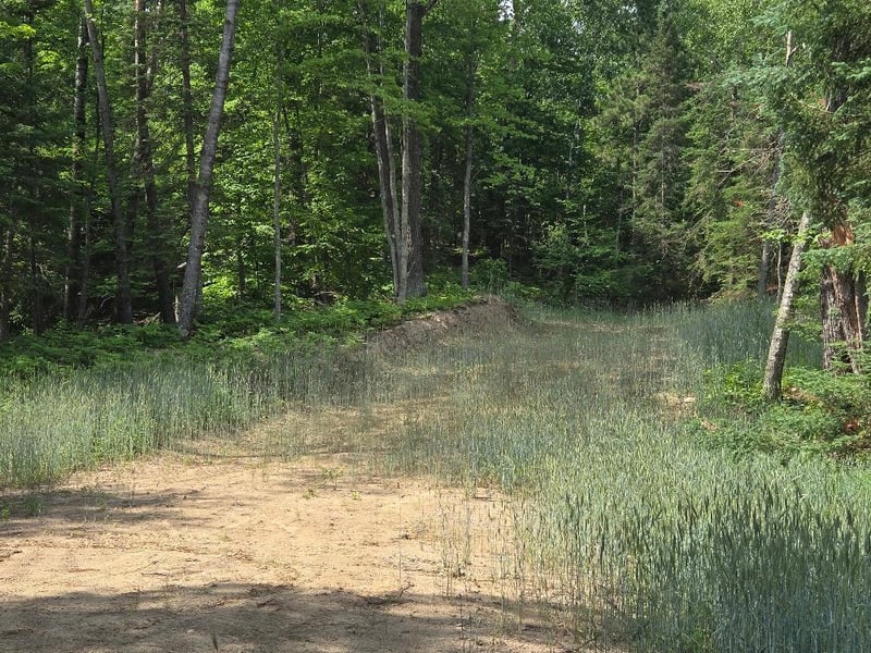 TBD County 54 NE, Longville, MN 56655