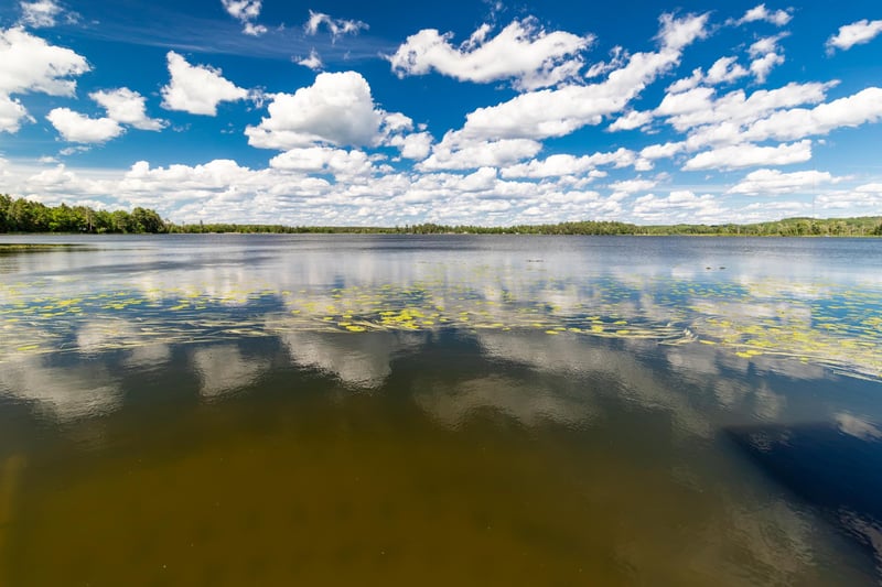 10452 Orchard Park Ln SW, Pillager, MN 56473