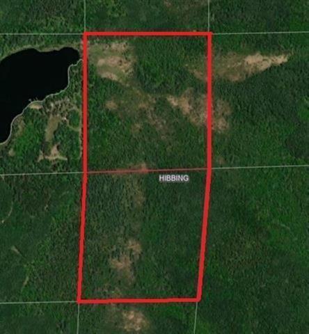TBD S Town Line Rd, Hibbing, MN 55746