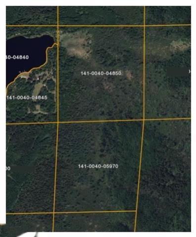 TBD S Town Line Rd, Hibbing, MN 55746