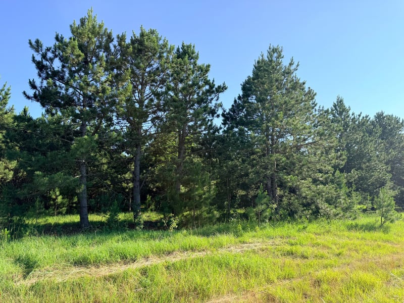 TBD 372nd St, Menahga, MN 56464
