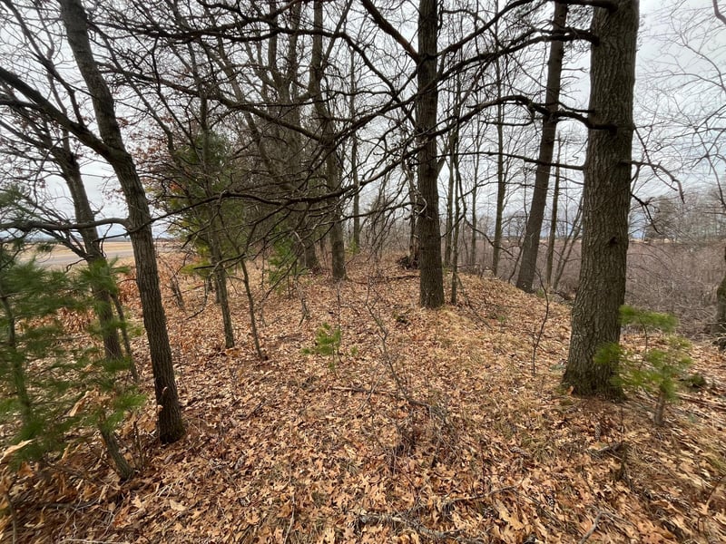 TBD Ten Mile Dr, Chetek, WI 54757