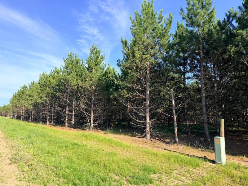 TBD Lita Ln, Menahga, MN 56464