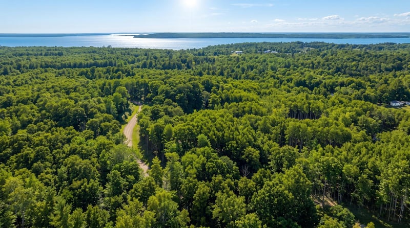 TBD Lot 6, Walker, MN 56484