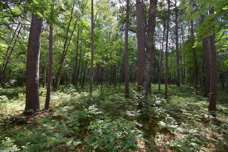 Lot 2 Saylors Ln, Siren, WI 54872