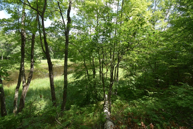 Lot 2 Saylors Ln, Siren, WI 54872