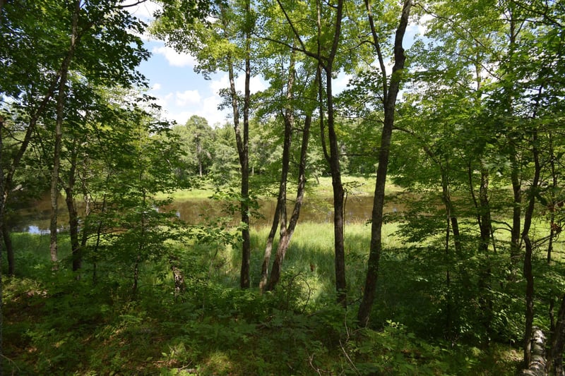 Lot 2 Saylors Ln, Siren, WI 54872