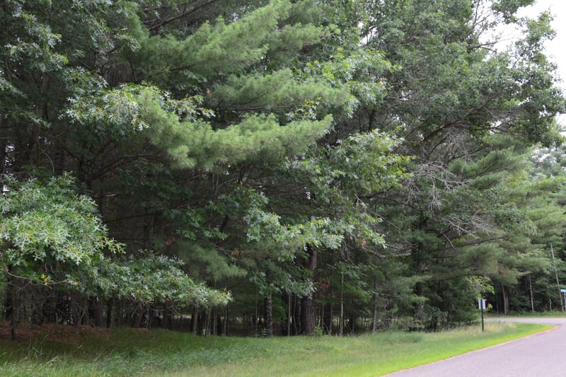 TBD Benson Rd, Grantsburg, WI 54840
